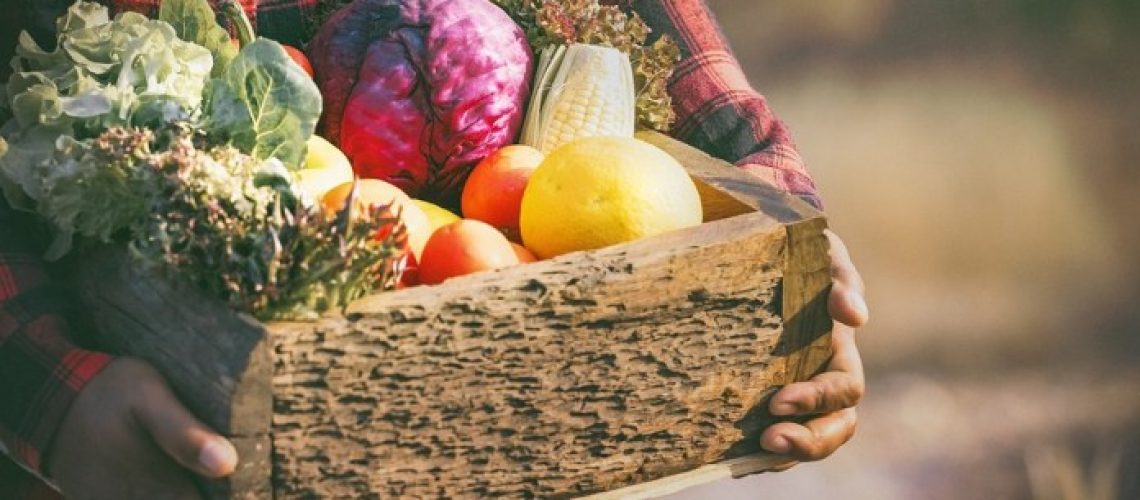 Fresh organic vegetables. Food background. Healthy food from garden. Adult Farmer Holding Fresh Local Vegetable.Vegetables on wooden background. Bio healthy organic food, herbs and spices.